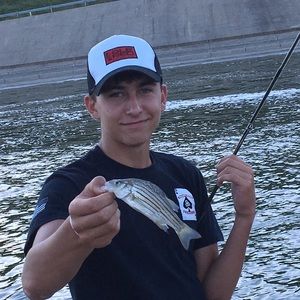 Meet your Posher, Nathan